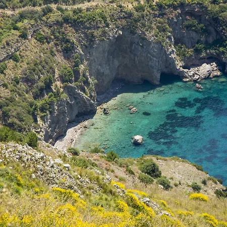 Campanella's Holiday home *